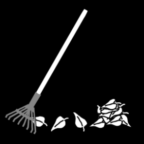 rake leaves